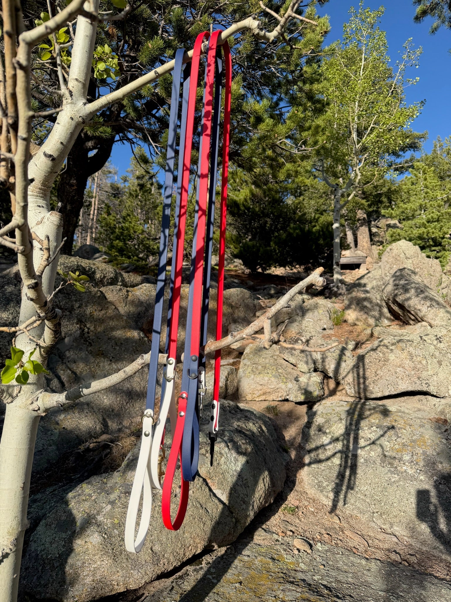 Leash