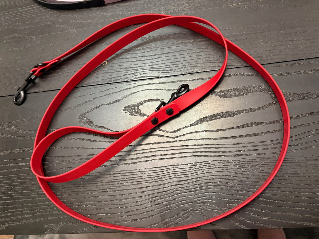 4 Foot Leash