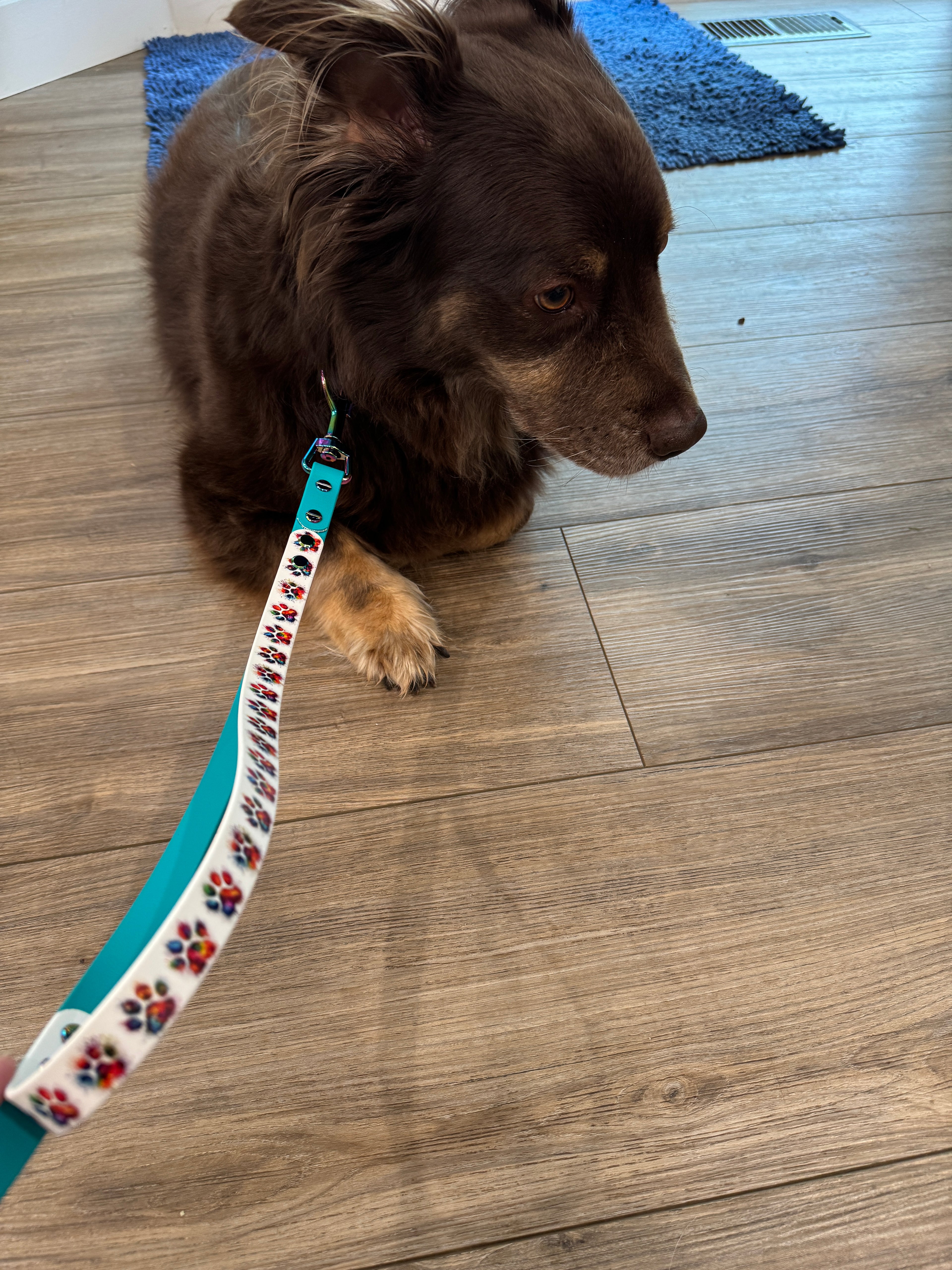 6 Ft Leash with Special Print Traffic Handle and Oil Slick Hardware