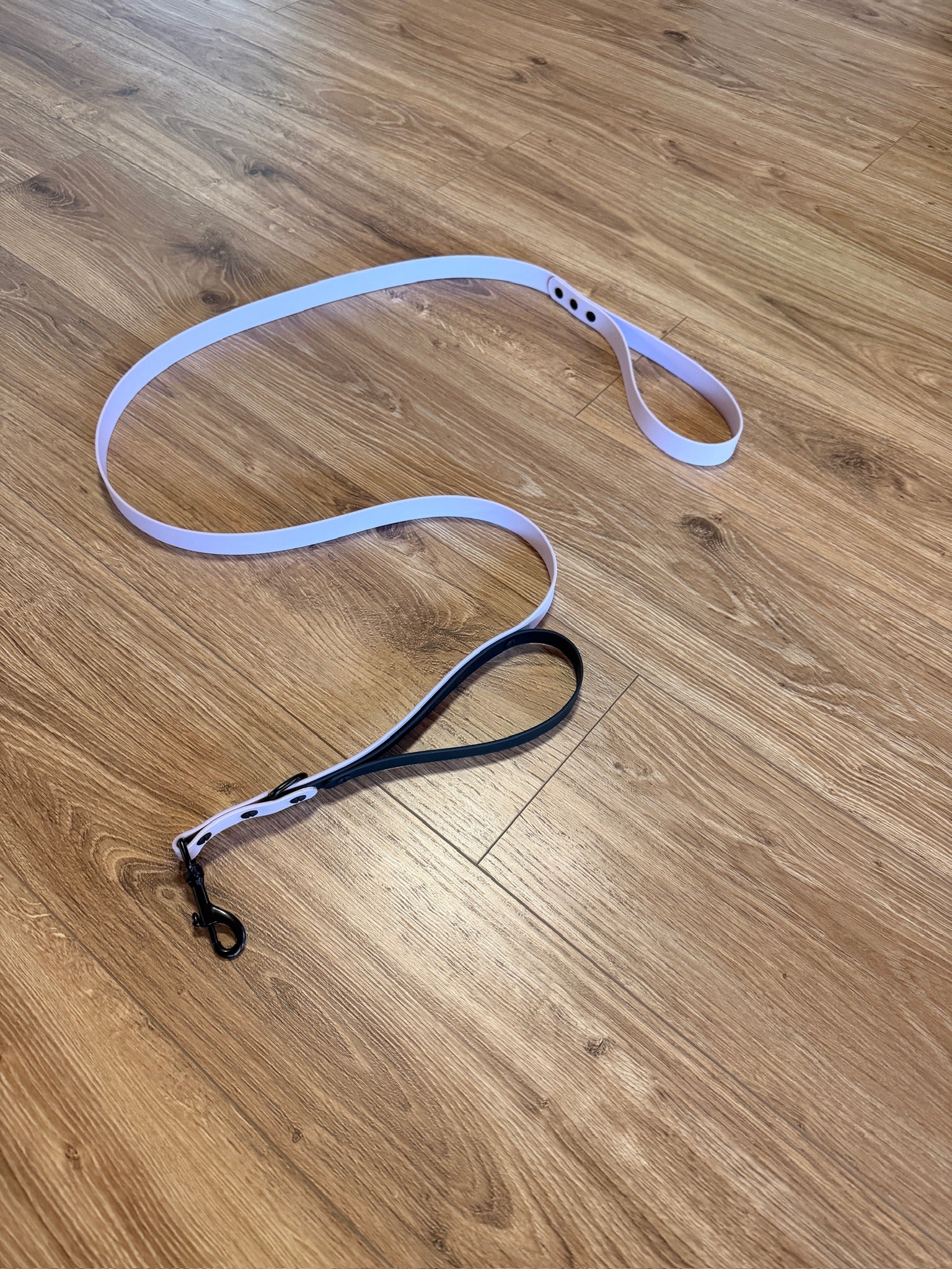 6 Foot Leash with Traffic Handle