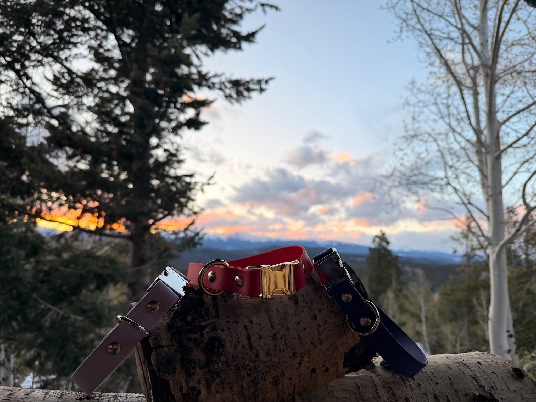 Custom Fit Collar with Quick Release