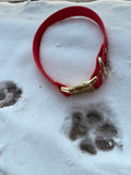 Custom Fit Collar with Quick Release