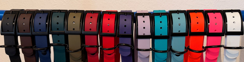 Quick Release Collar With Buckle Adjustment