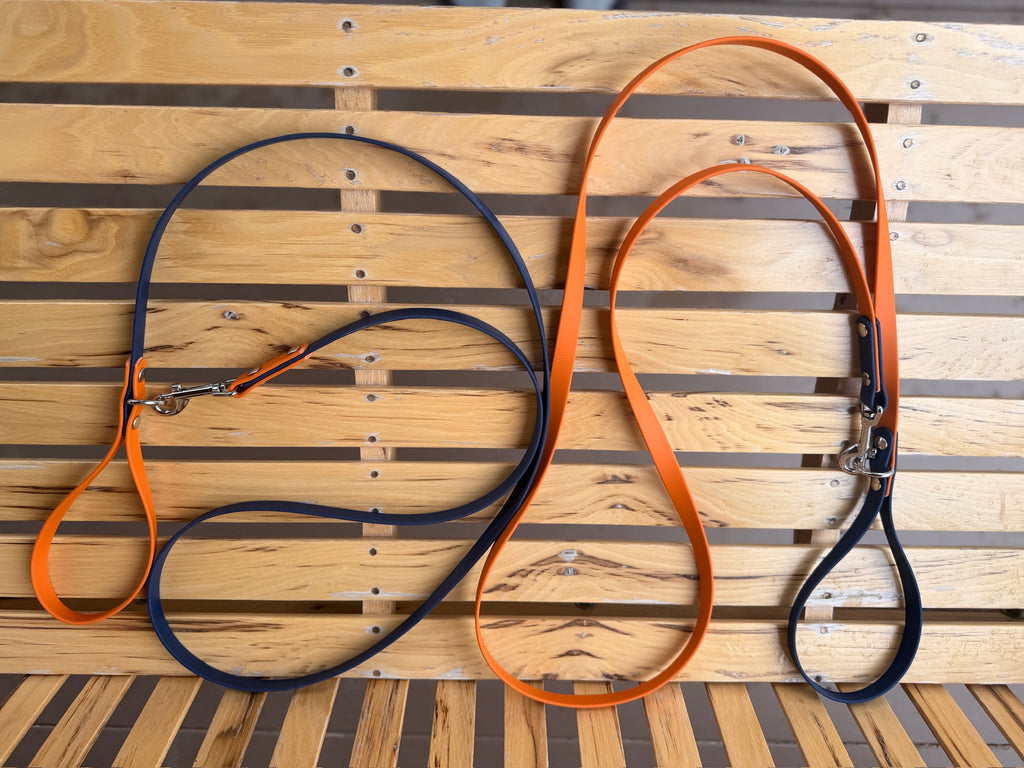 Bronco Dual Color 6 ft Leash