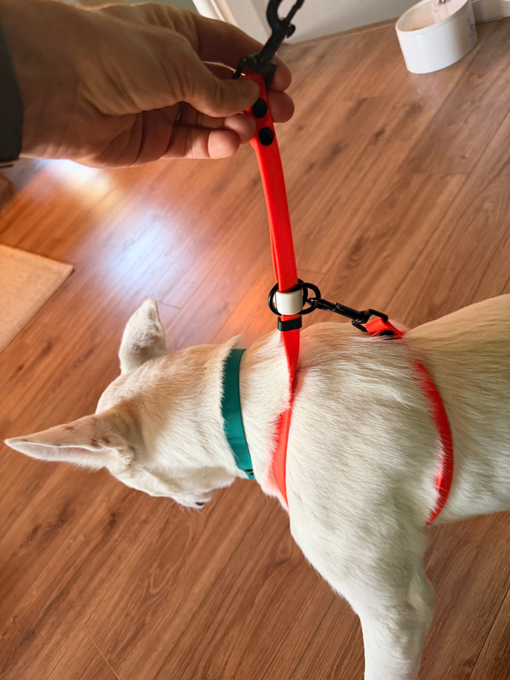 Grooming Sling