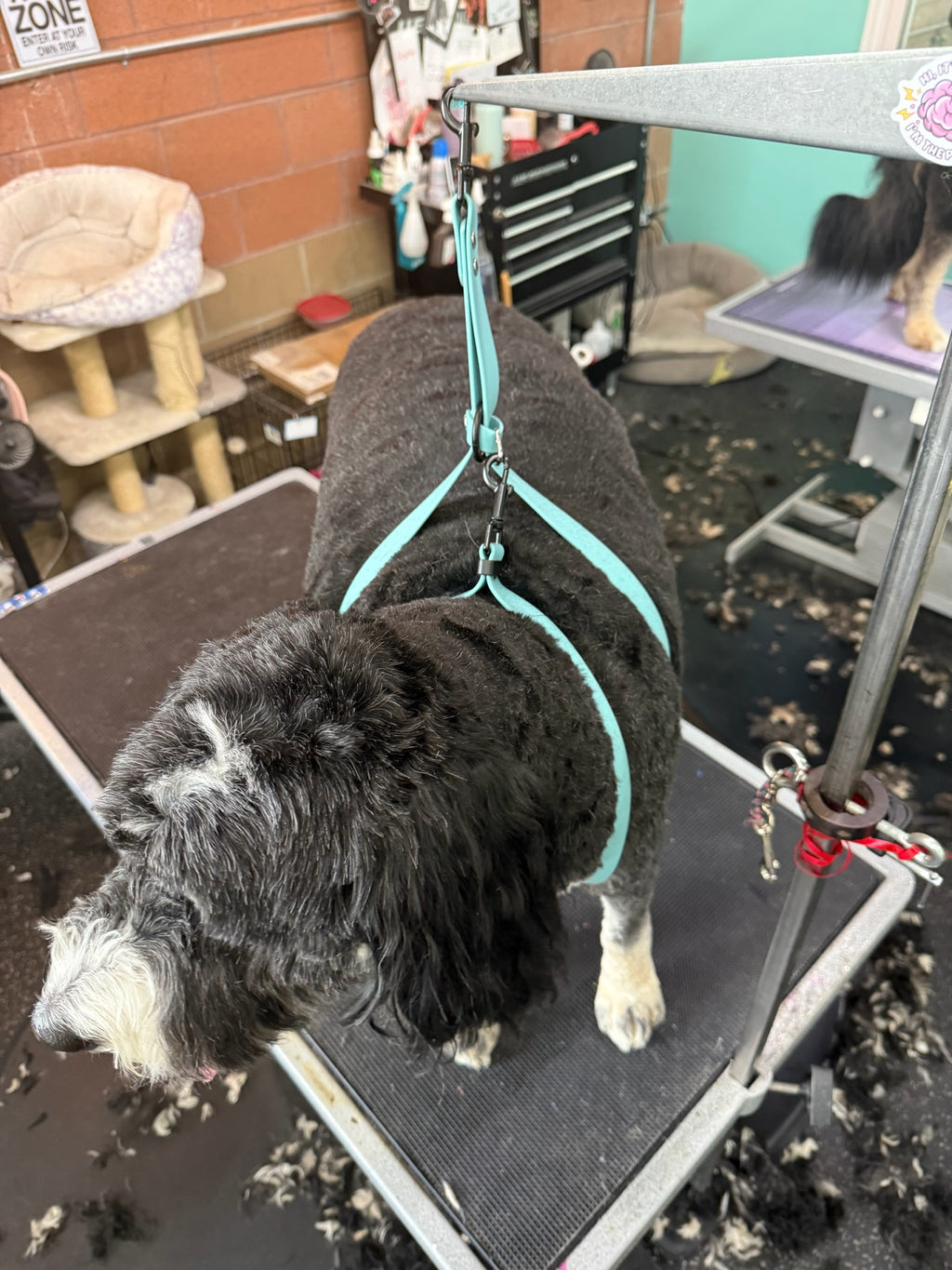 Grooming Sling