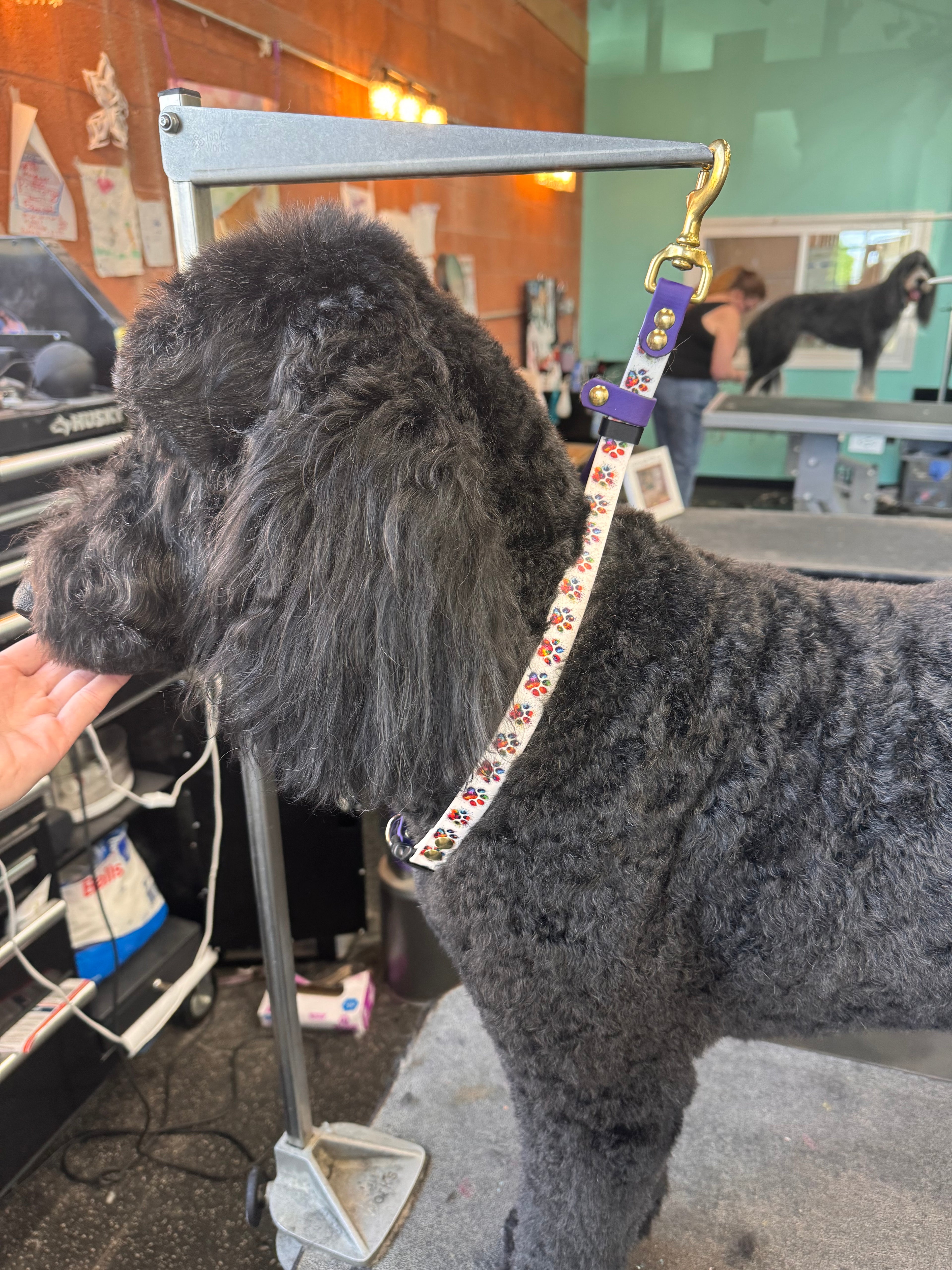 Groomers Lead