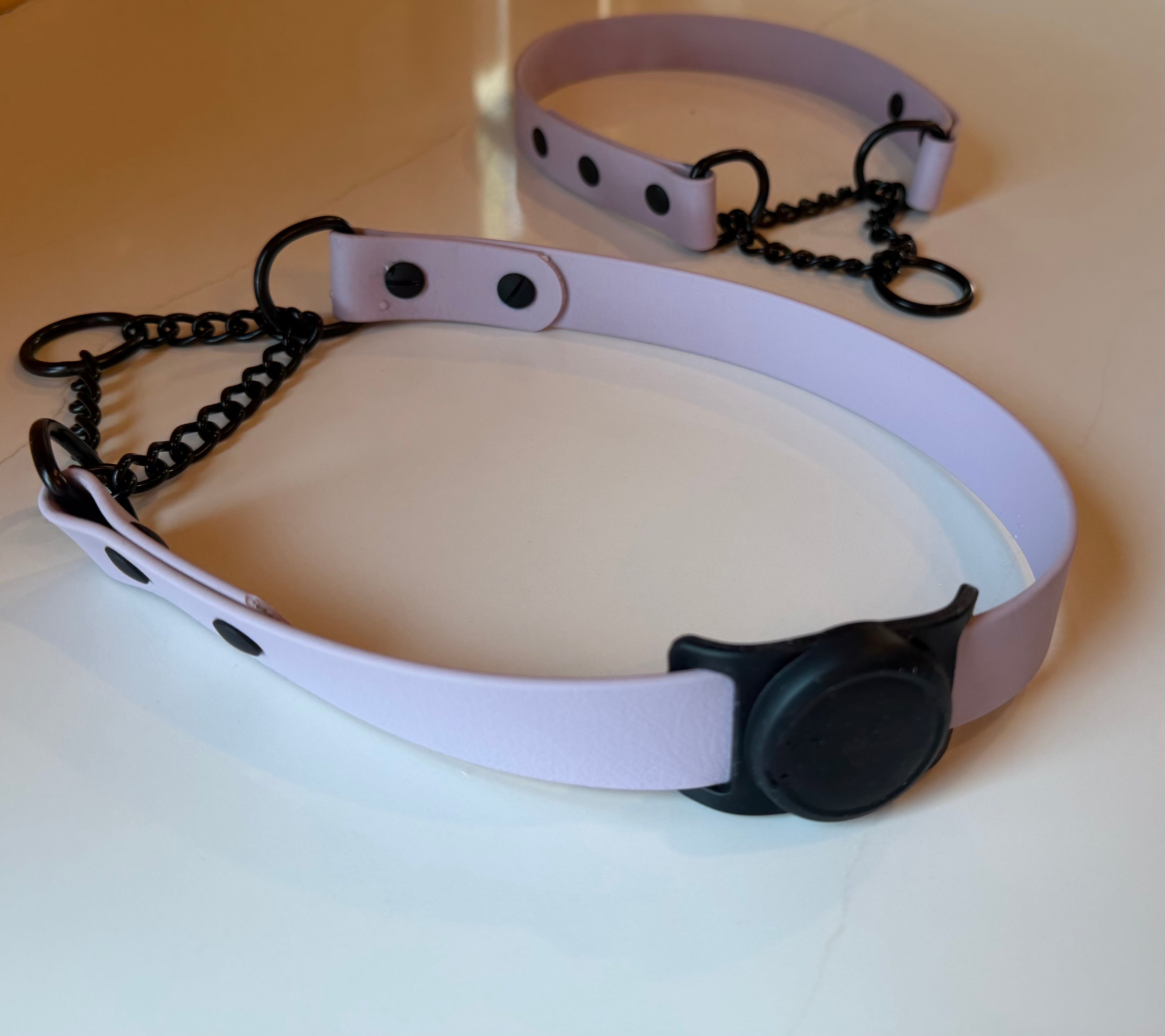 Martingale Collar With Chain Loop