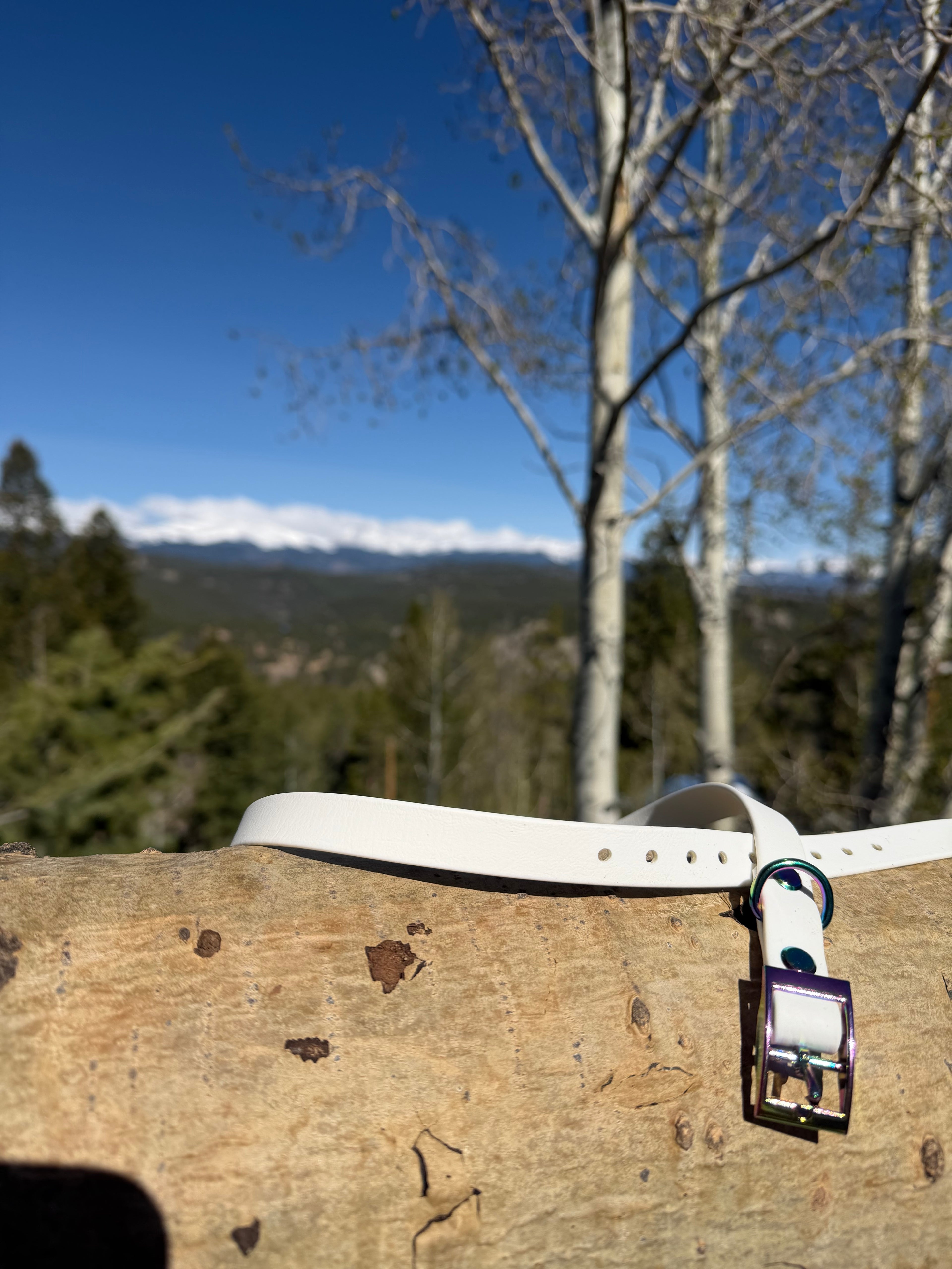 Buckle Collar
