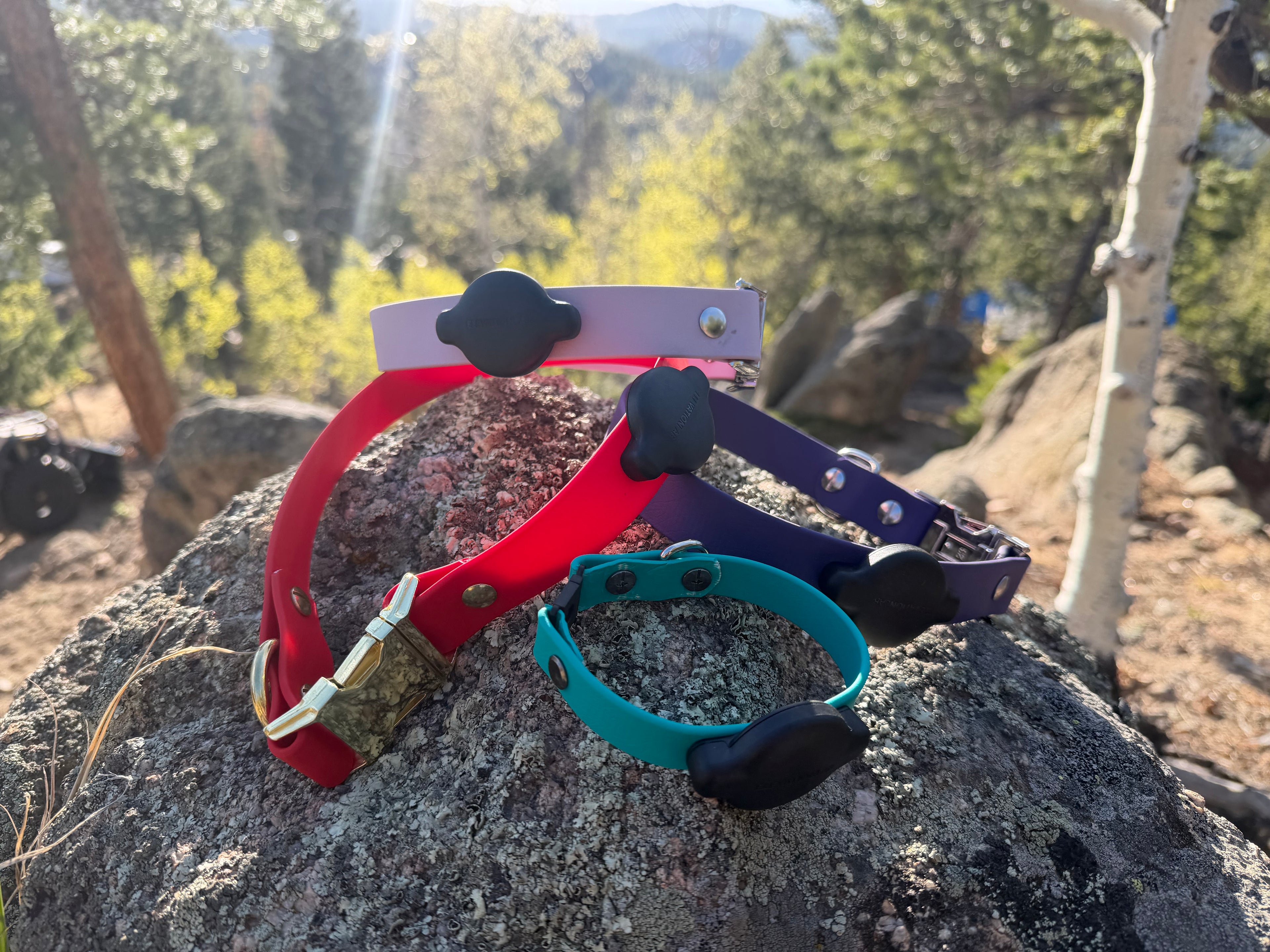 Custom Fit Collar with Quick Release, Nonadjustable with Apple Tag Holder