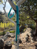 4 Foot Leash