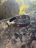 Quick Release Collar With Buckle Adjustment