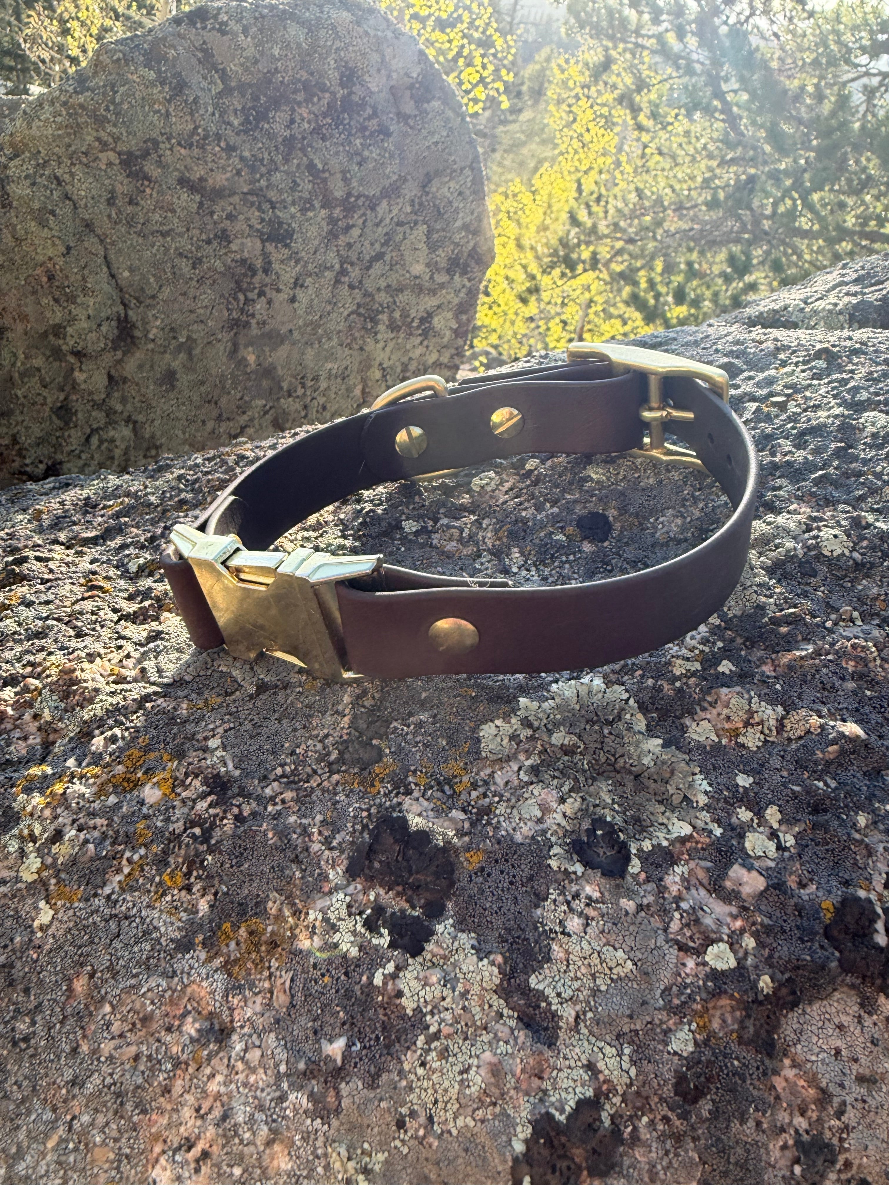 Quick Release Collar With Buckle Adjustment
