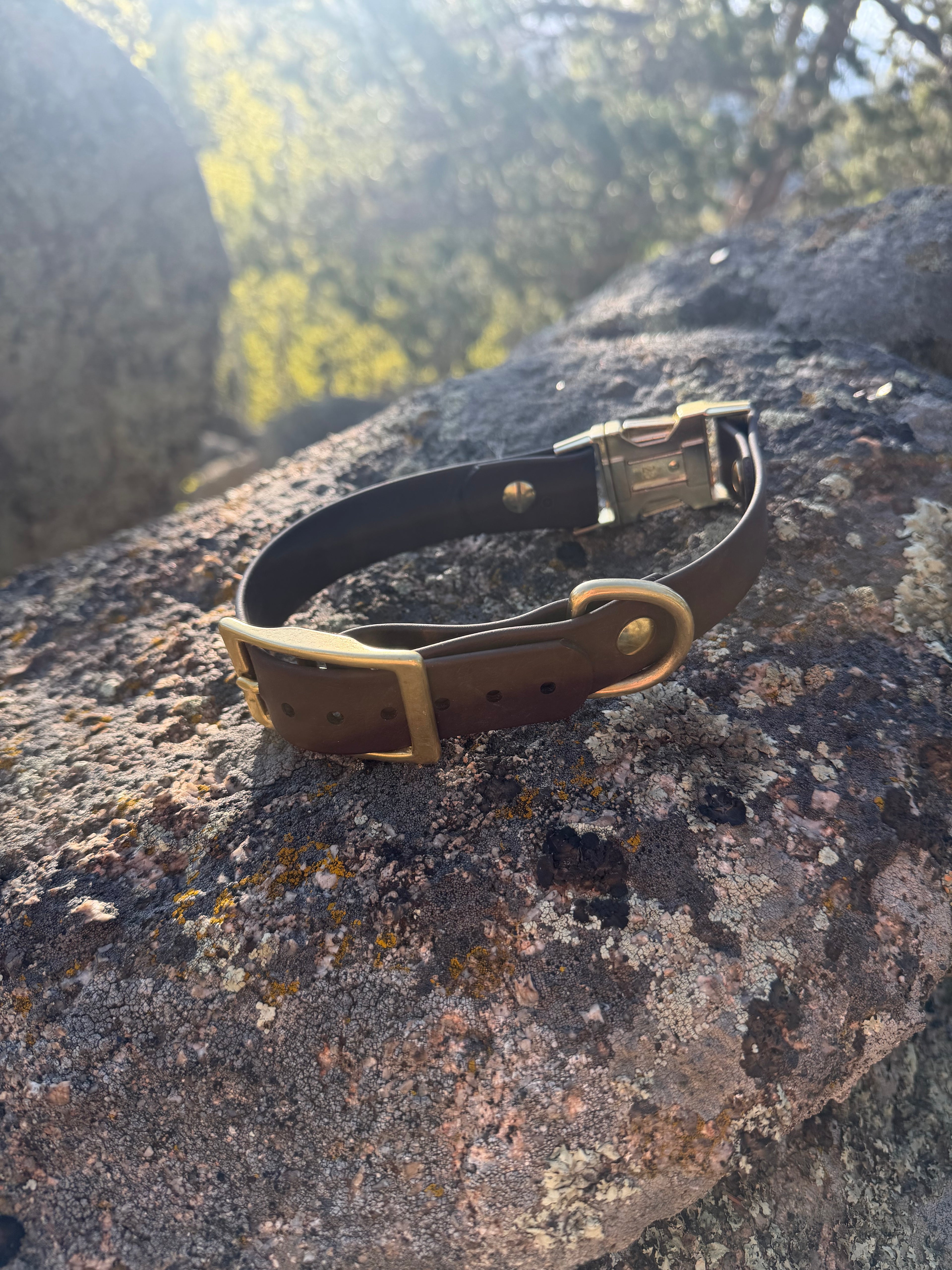 Quick Release Collar With Buckle Adjustment