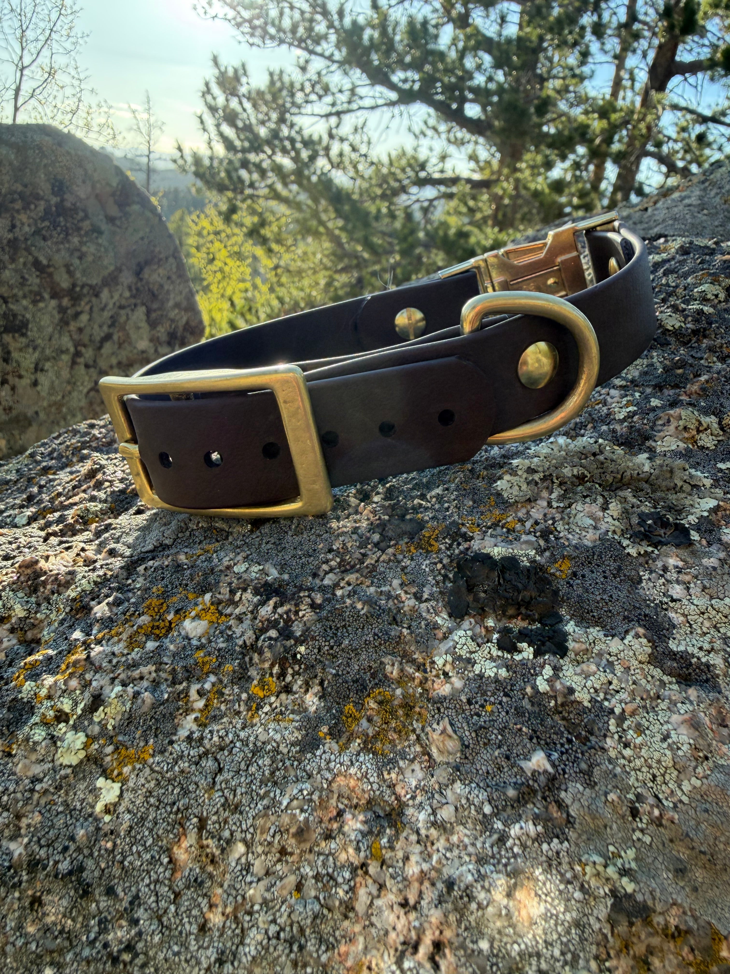 Quick Release Collar With Buckle Adjustment