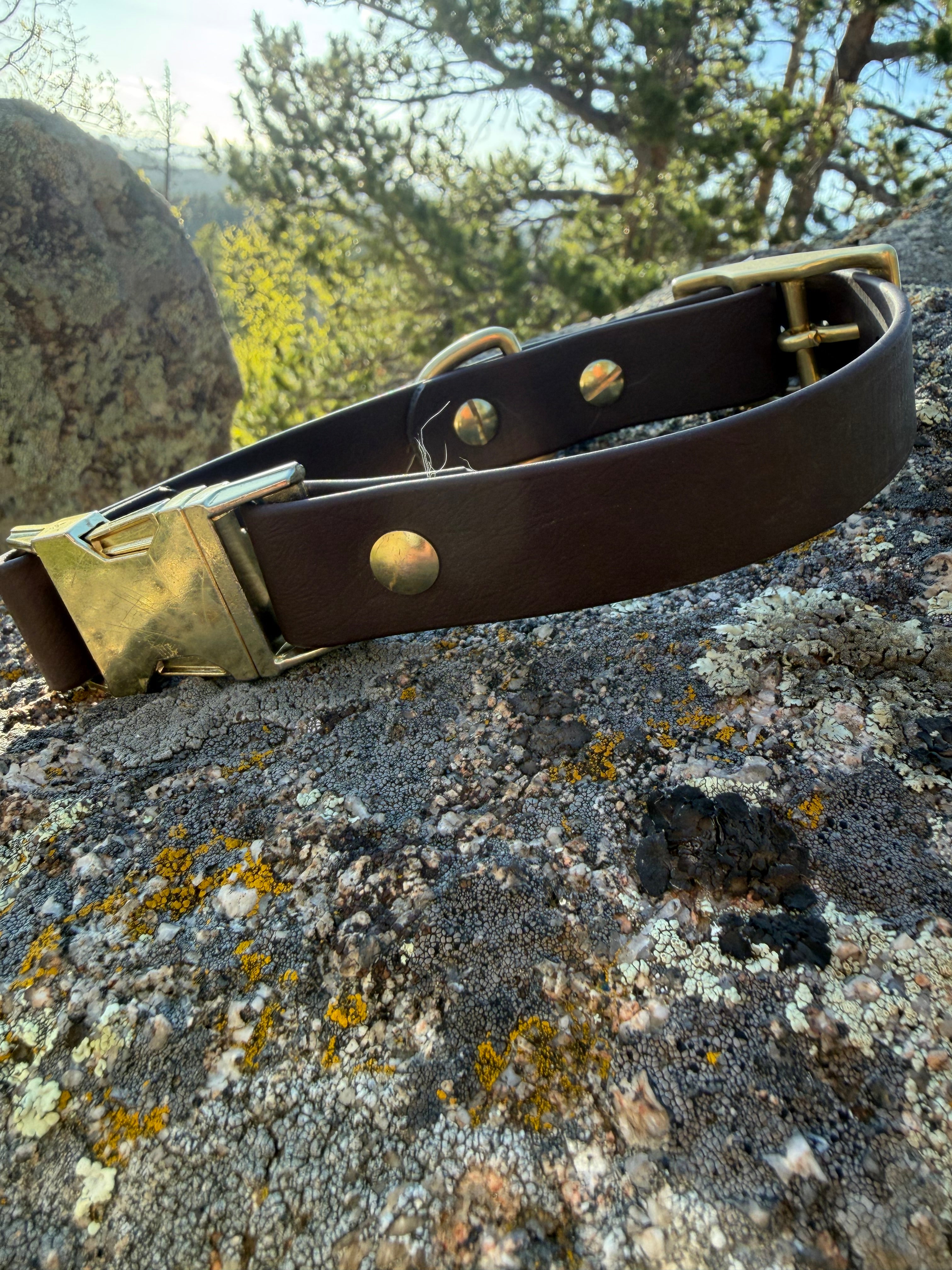 Quick Release Collar With Buckle Adjustment