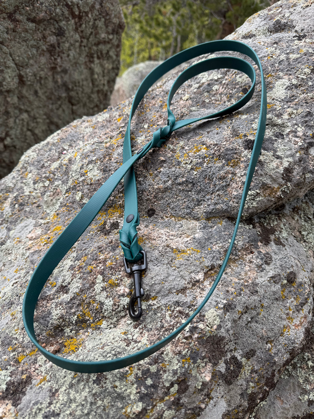 6 Foot Braided Leash