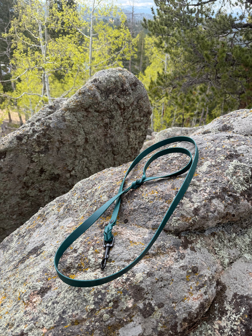 6 Foot Braided Leash