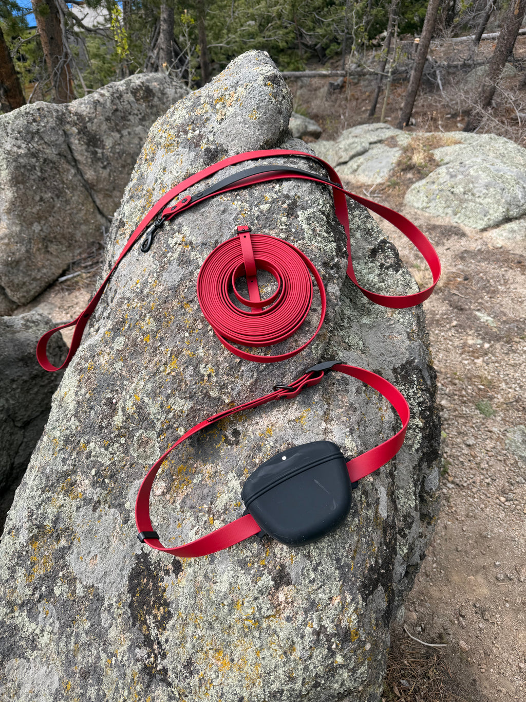 Training Essentials Kit