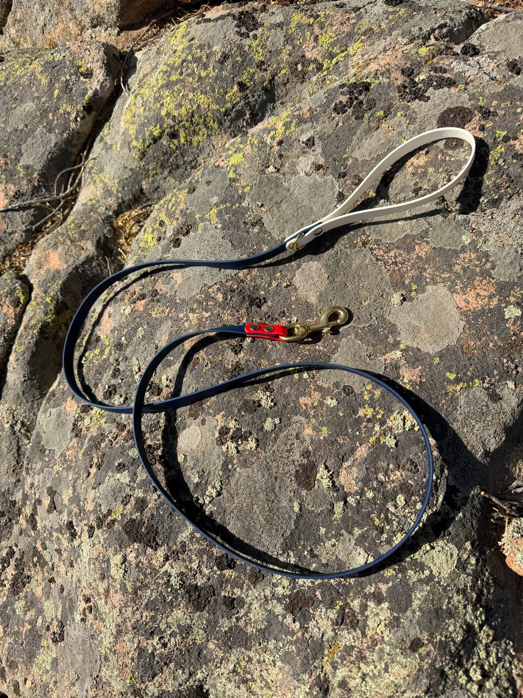 July 4th leash