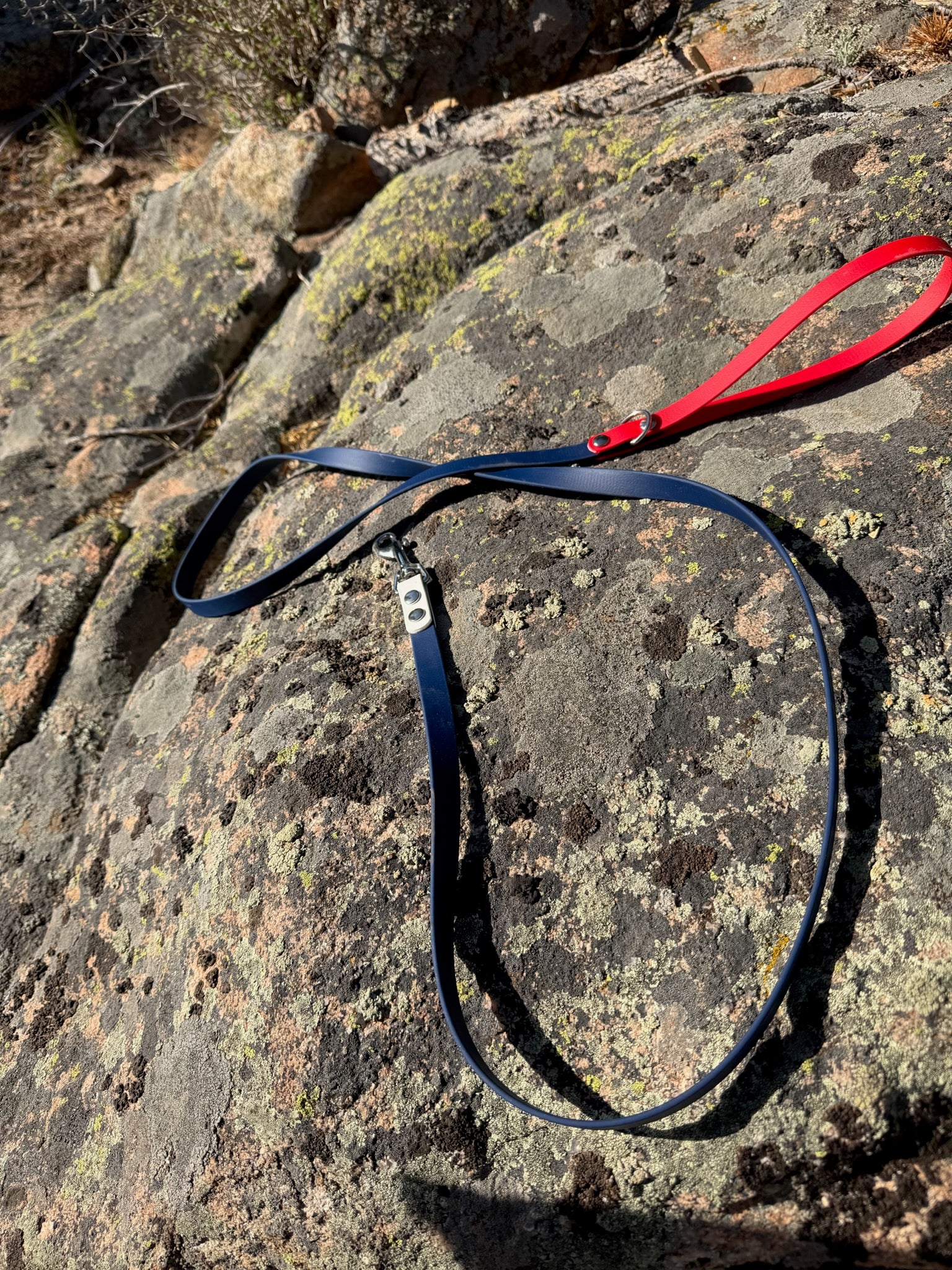 July 4th leash
