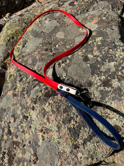 5 Foot Leash