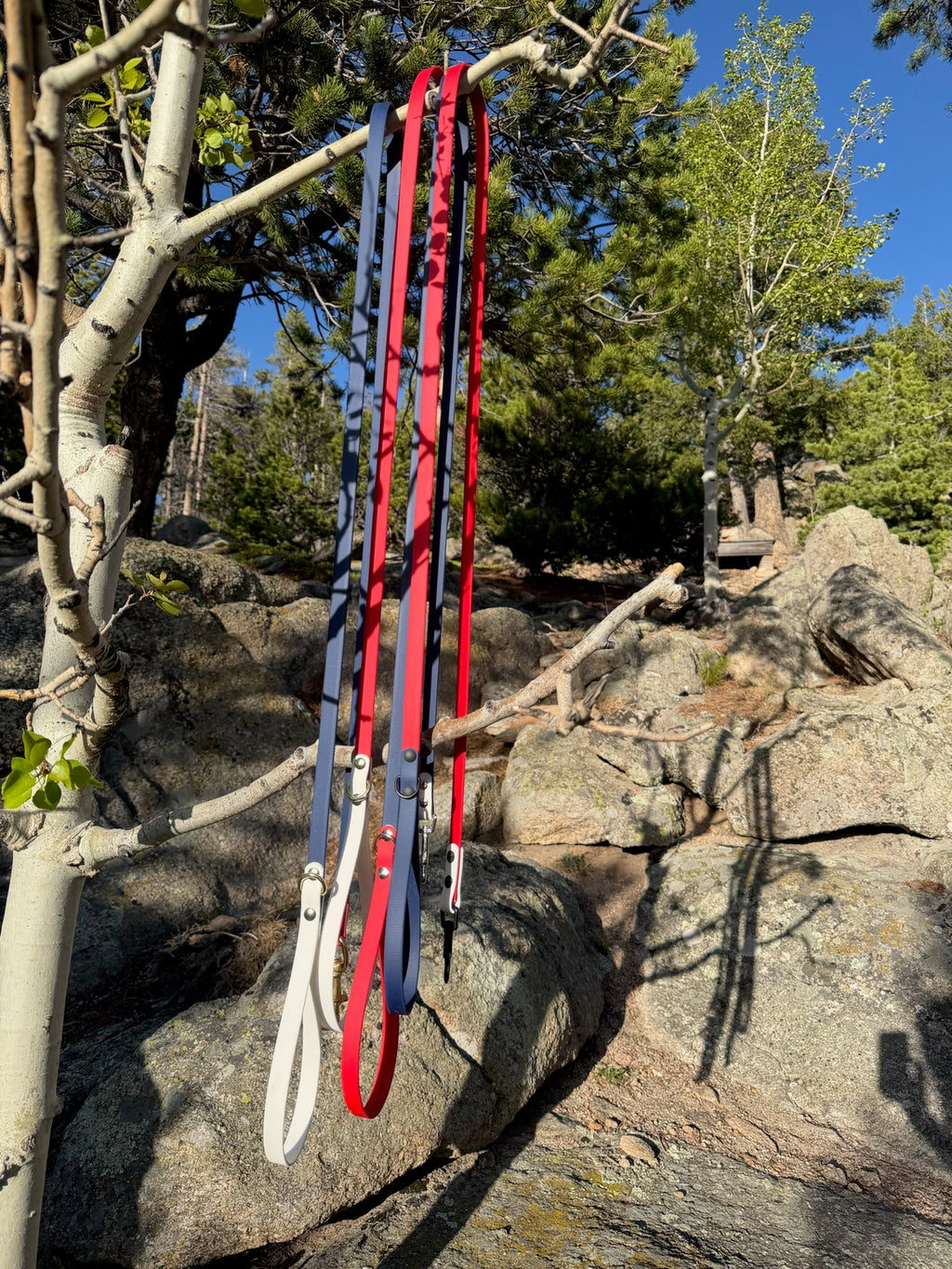 July 4th leash