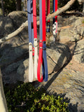 July 4th leash