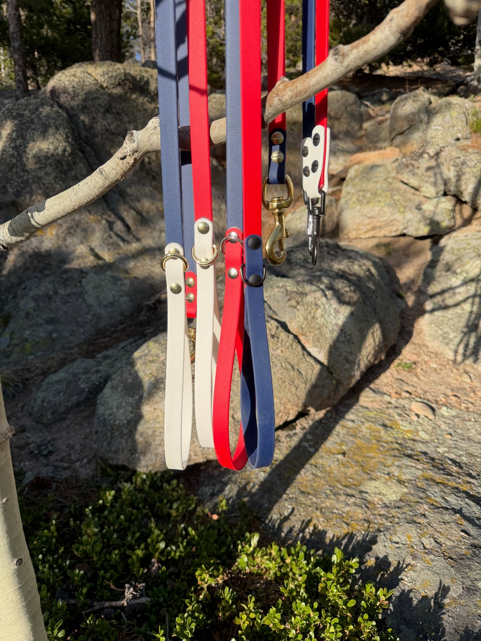 July 4th leash