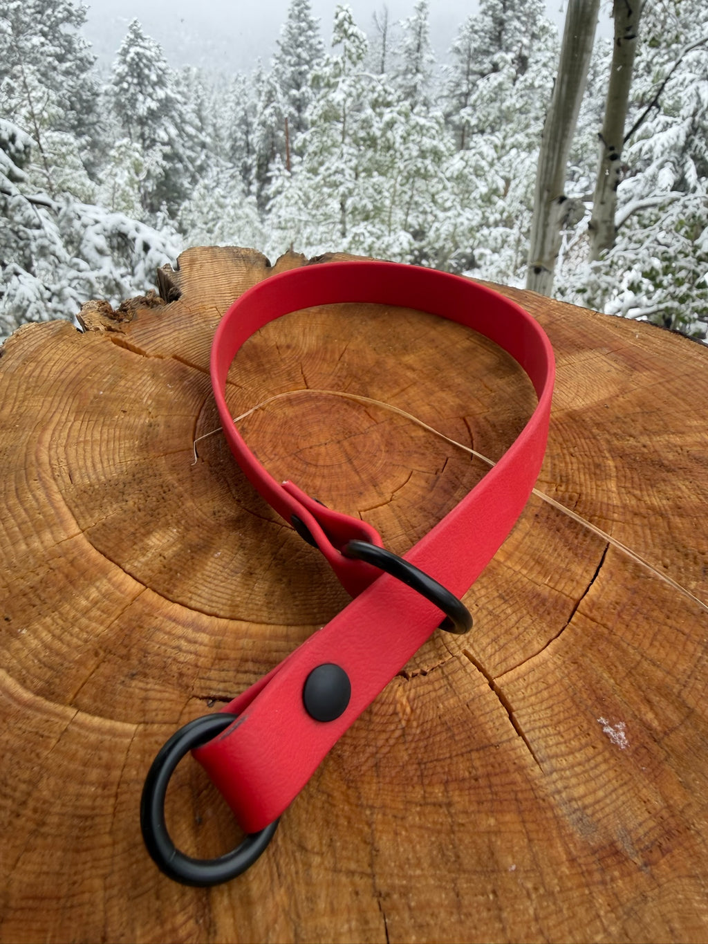 Slip Collar