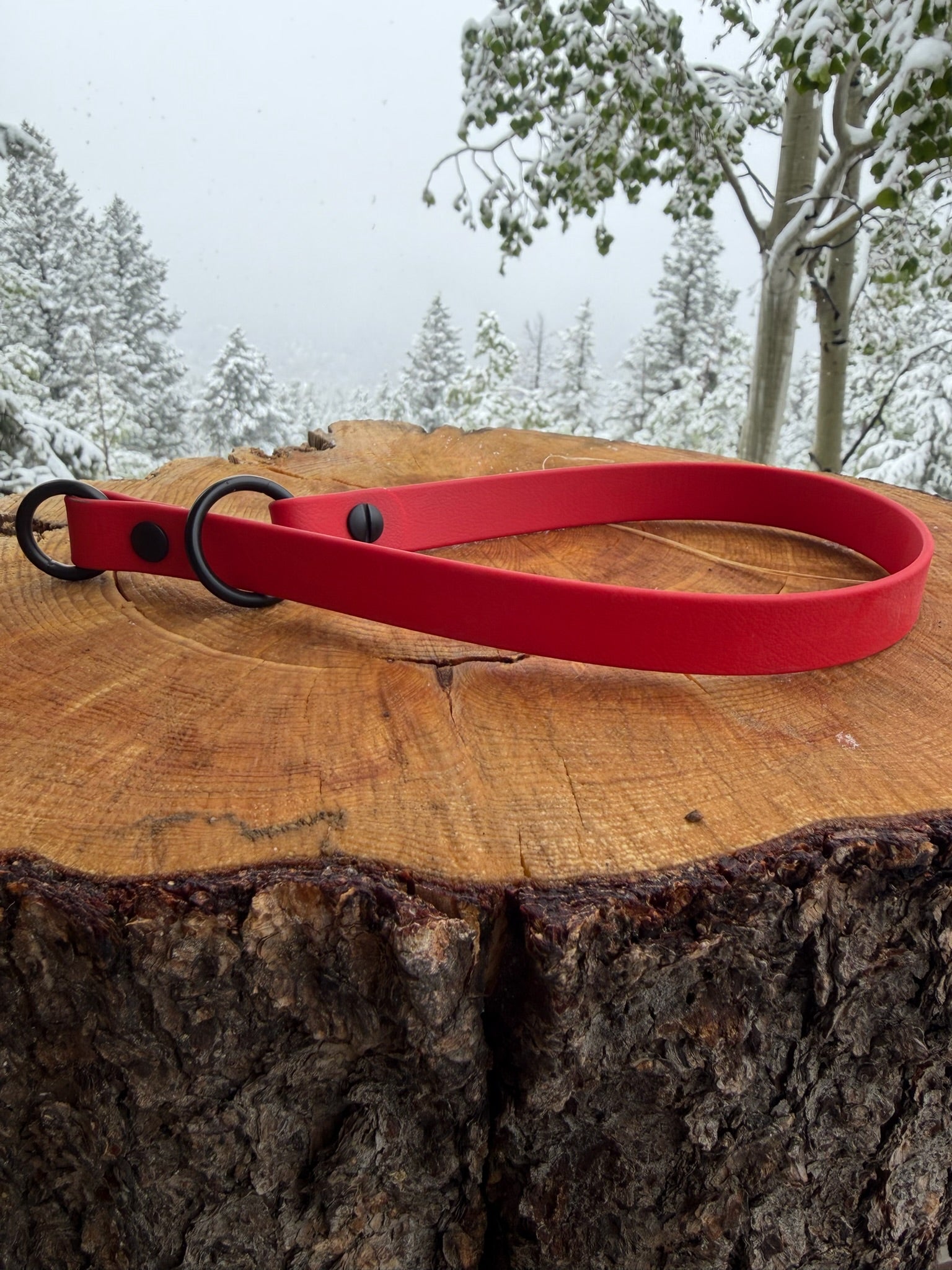 Slip Collar