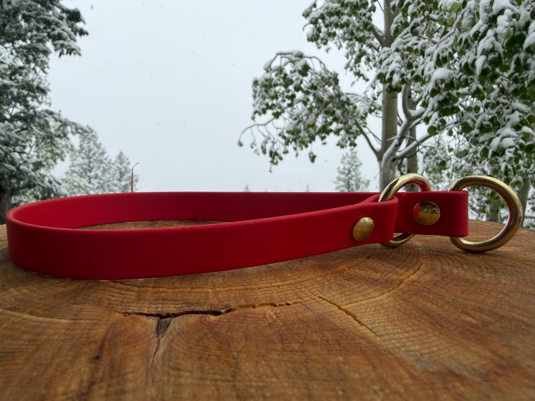 Slip Collar