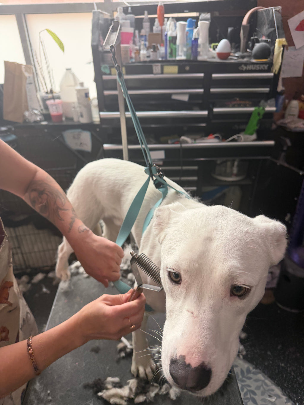 Grooming Sling