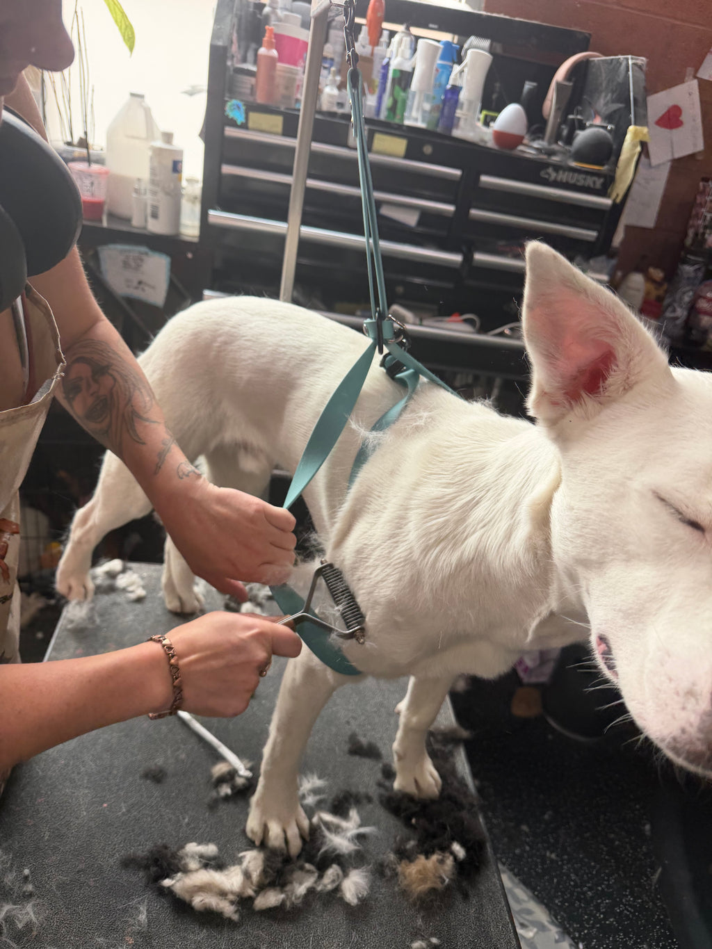 Grooming Sling